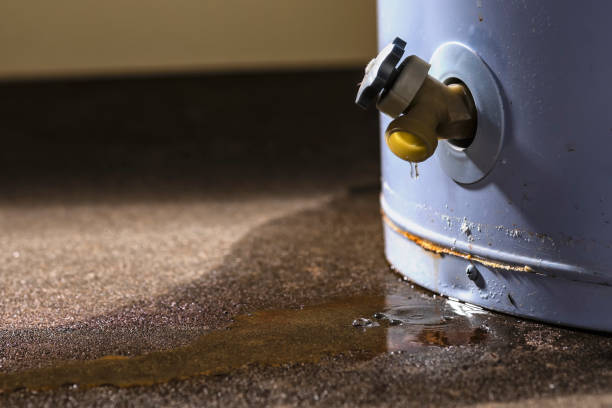 Best Ceiling water damage repair  in Ellicott City, MD