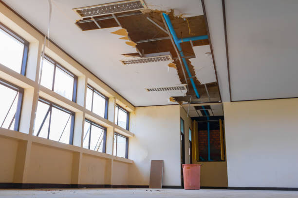 Best Mold removal after water damage  in Ellicott City, MD