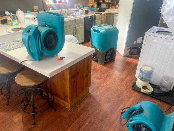 Best Commercial water damage restoration  in Ellicott City, MD