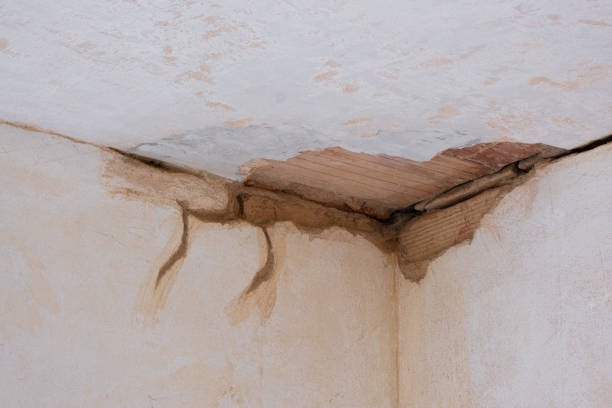 Best Water damage restoration experts  in Ellicott City, MD