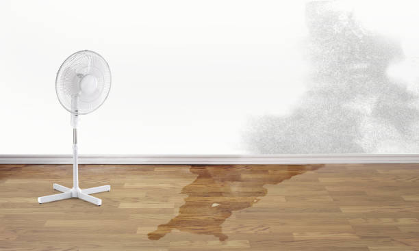 Best Flood damage cleanup  in Ellicott City, MD