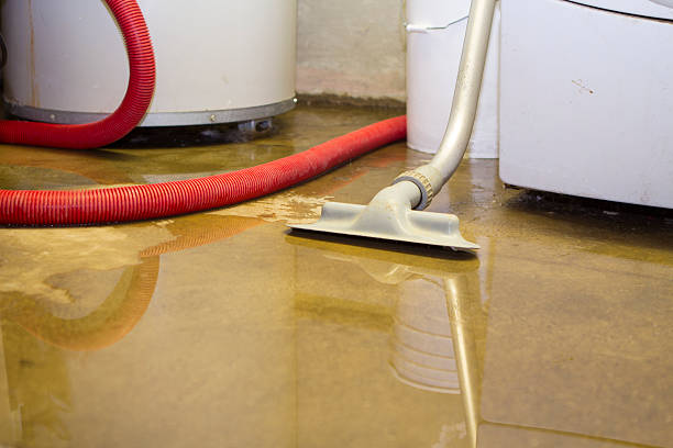 Best Residential water damage restoration  in Ellicott City, MD