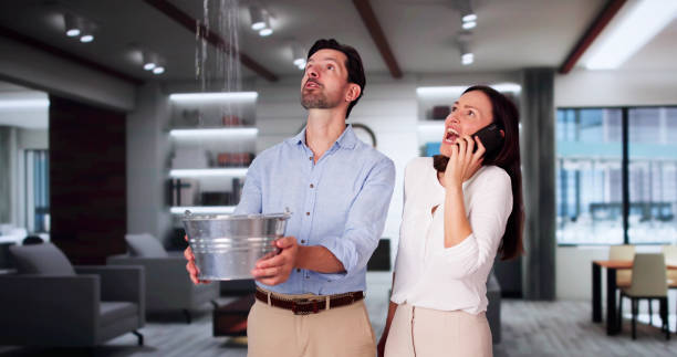 Best Water damage restoration near me  in Ellicott City, MD